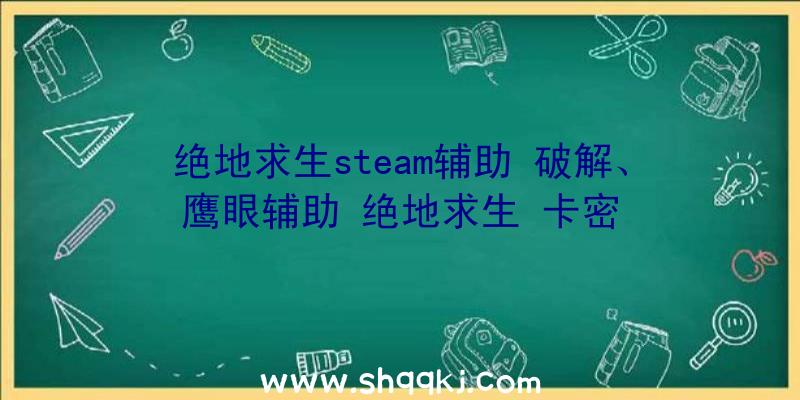 绝地求生steam辅助